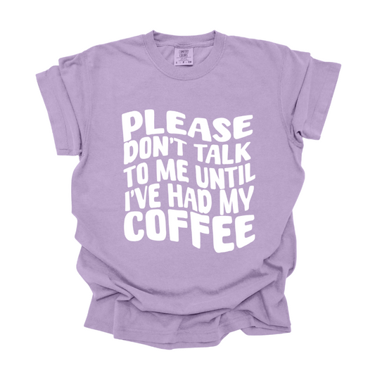 Please Don't Talk to Me T-shirt